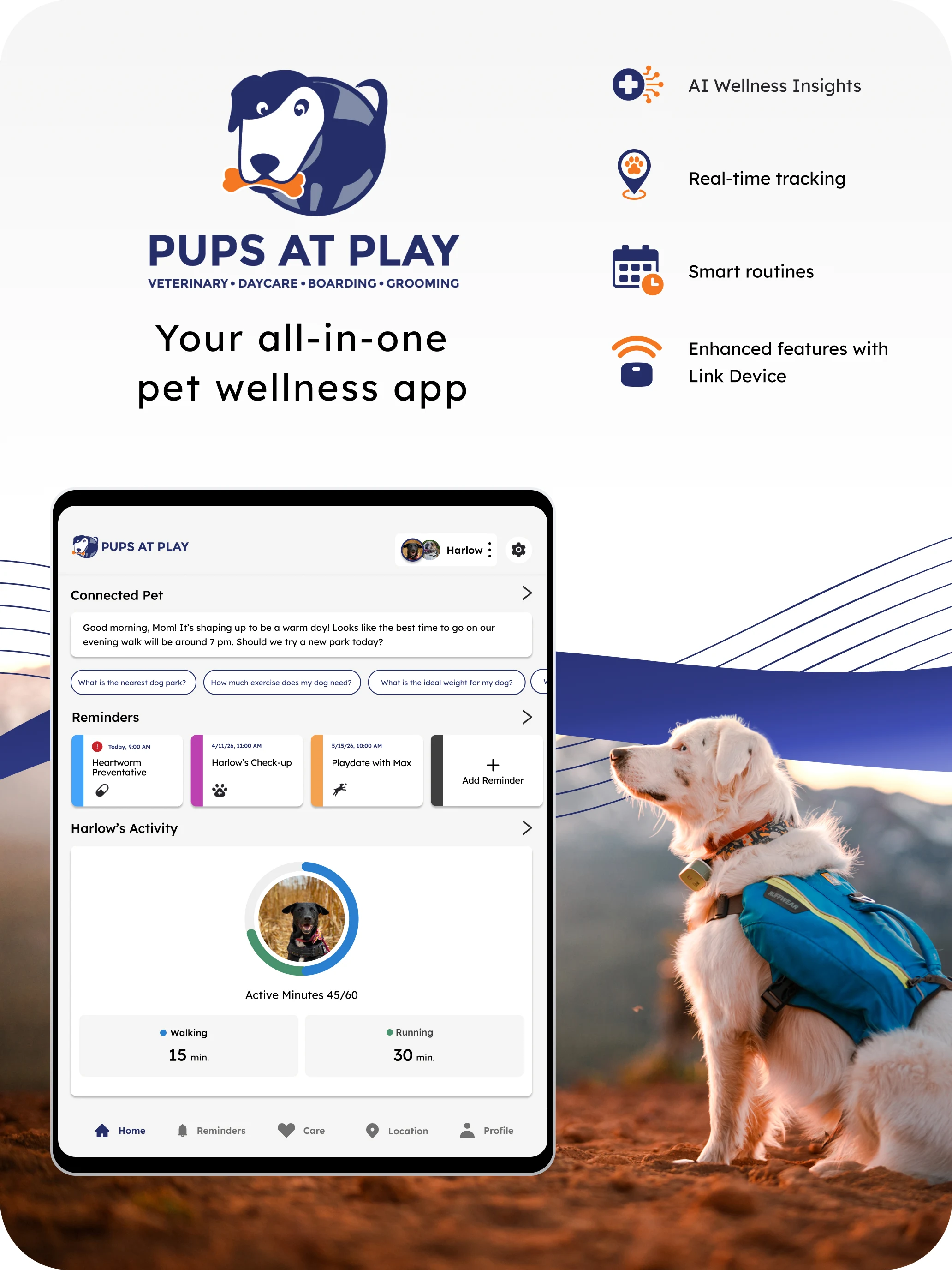 Pups at Play screenshot