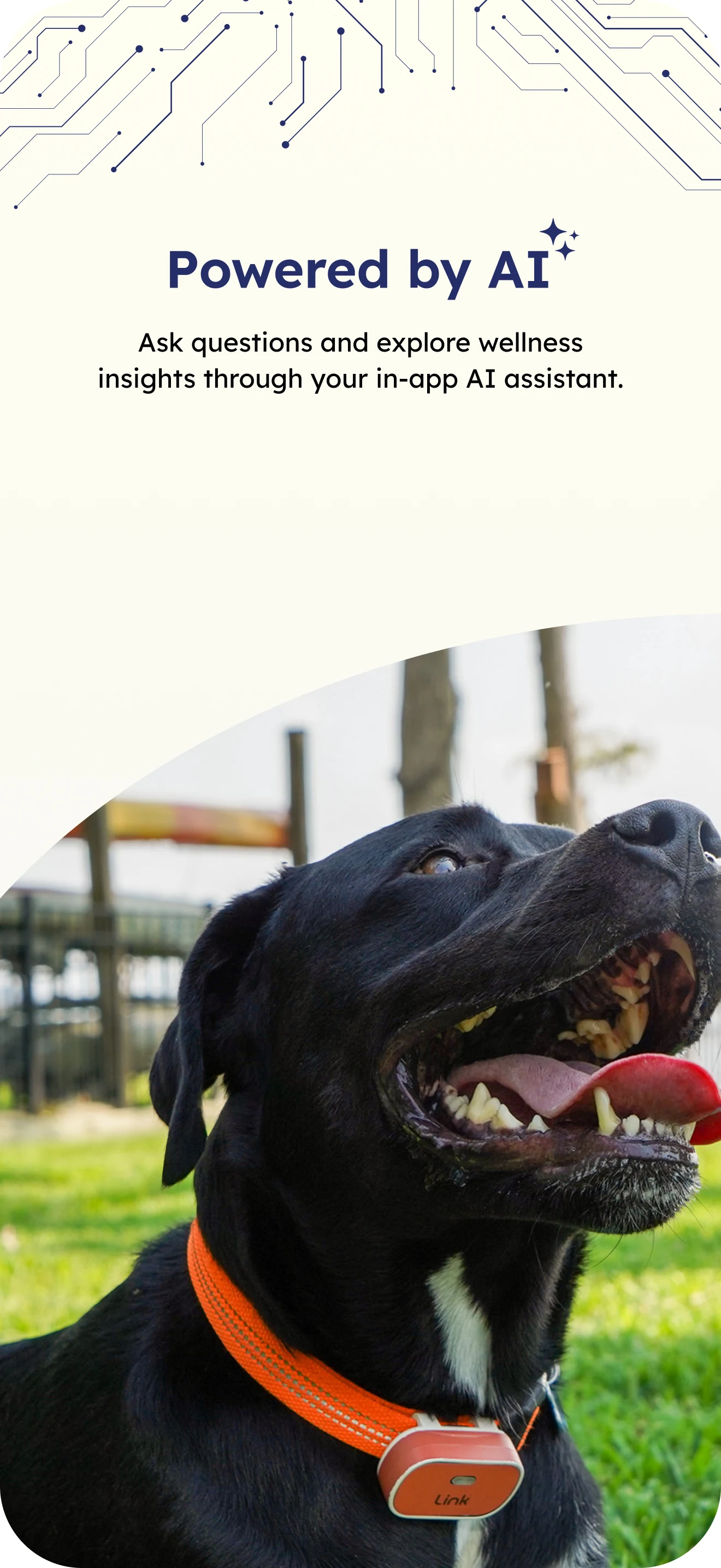 Pups at Play screenshot
